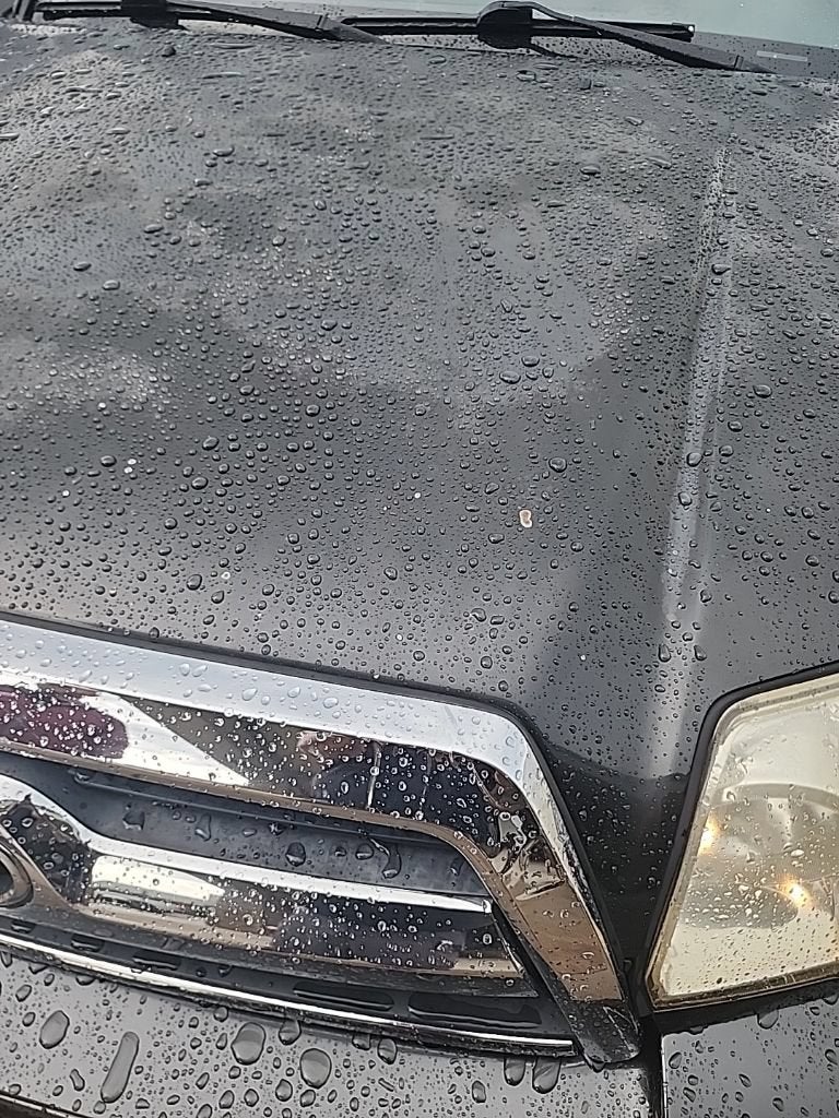 2007 Toyota 4Runner SR5