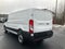 2026 Ford Transit LOW ROOF